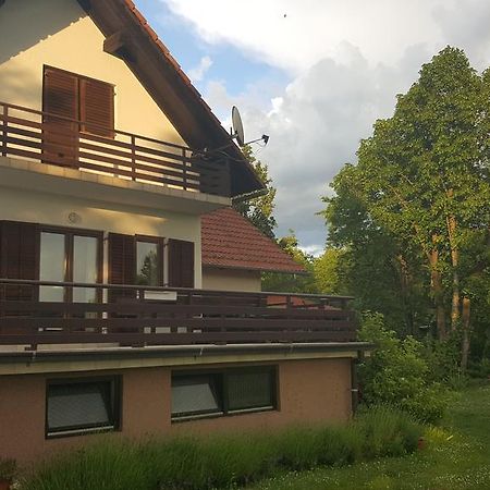 House Tudic Appartement Drežnik Grad Buitenkant foto
