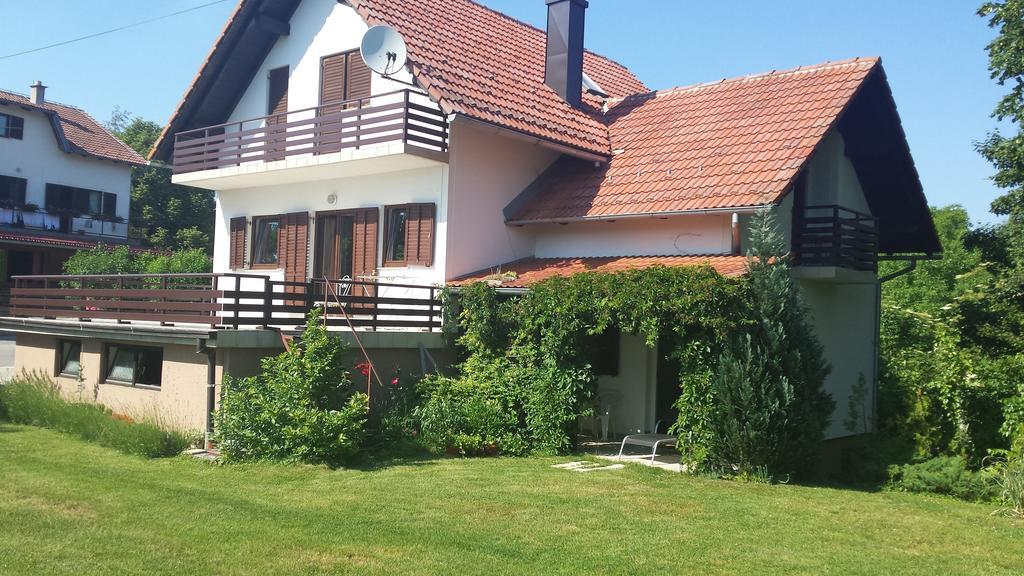 House Tudic Appartement Drežnik Grad Kamer foto
