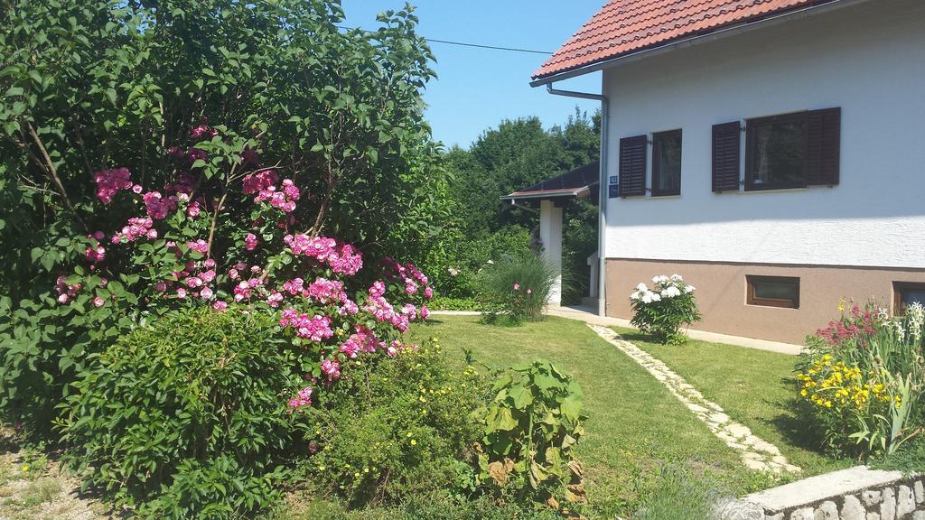 House Tudic Appartement Drežnik Grad Kamer foto
