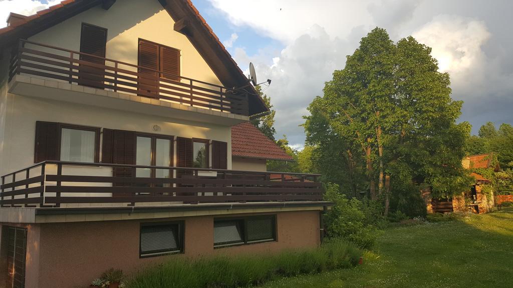House Tudic Appartement Drežnik Grad Buitenkant foto