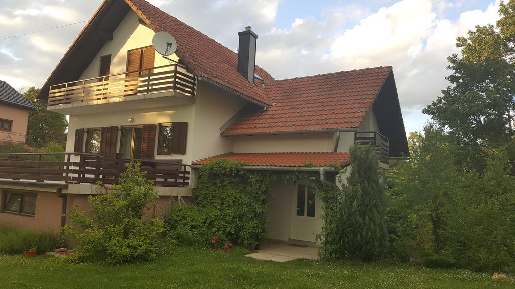 House Tudic Appartement Drežnik Grad Buitenkant foto
