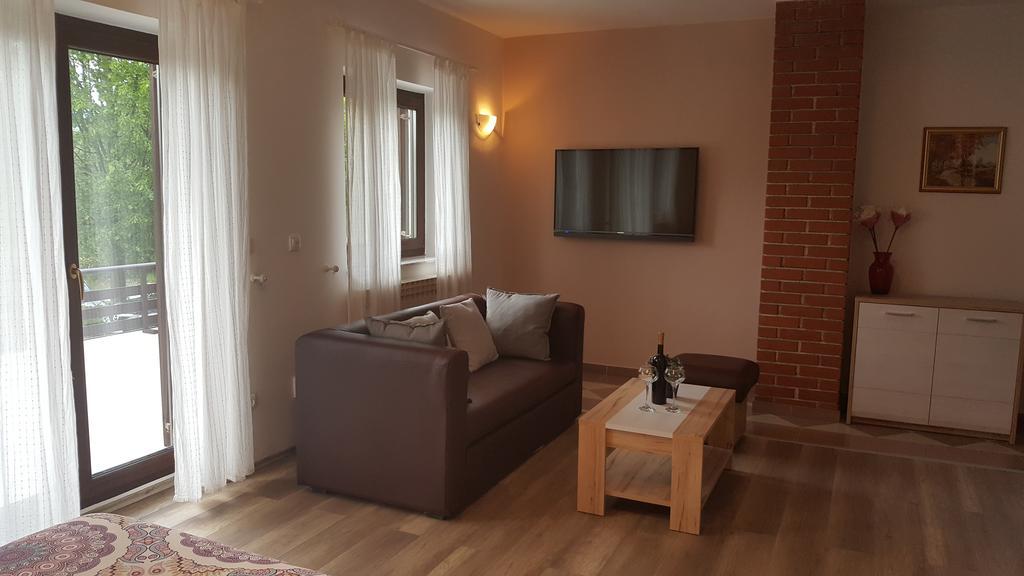 House Tudic Appartement Drežnik Grad Buitenkant foto