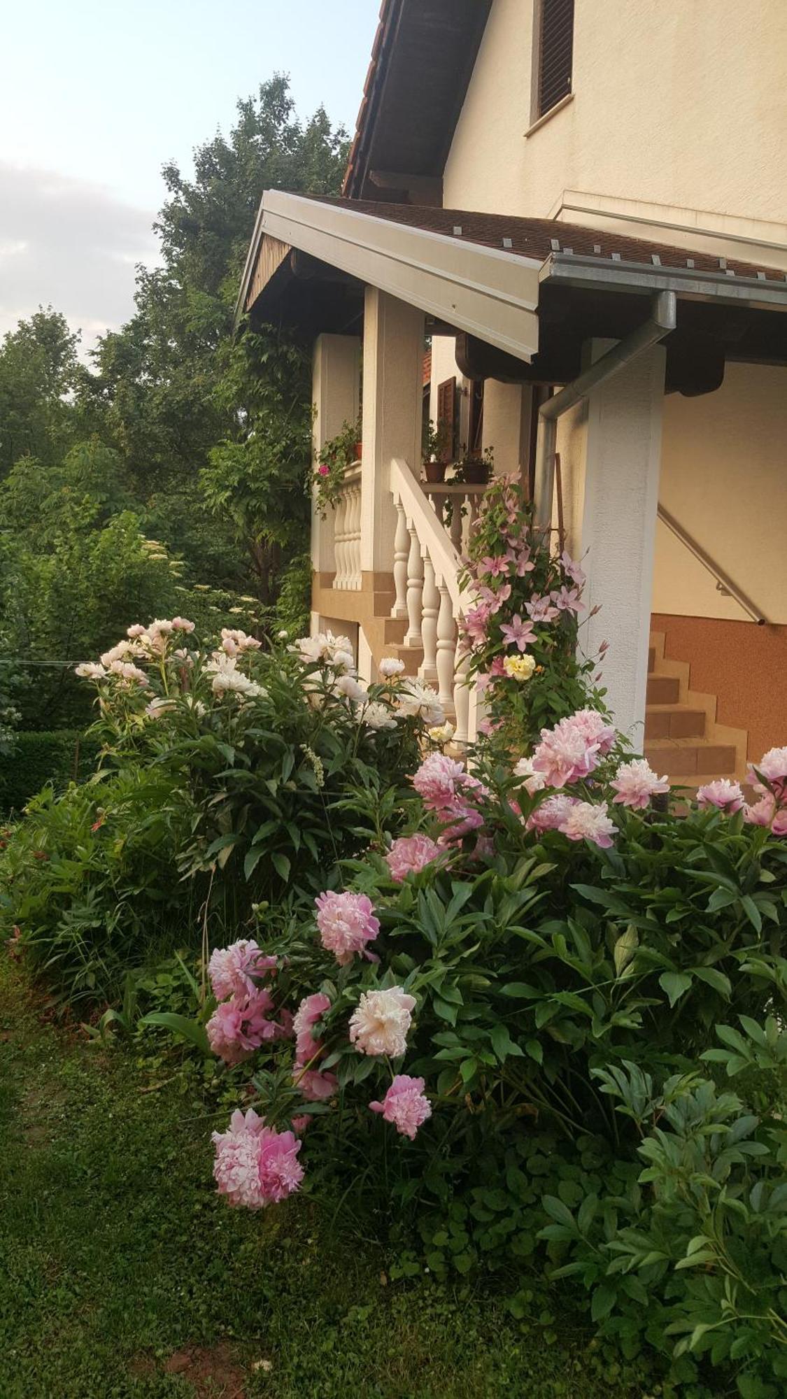 House Tudic Appartement Drežnik Grad Buitenkant foto