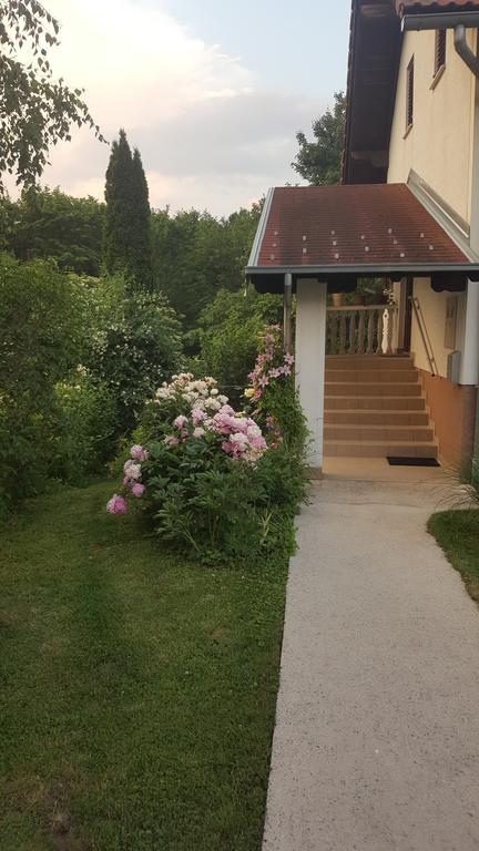House Tudic Appartement Drežnik Grad Buitenkant foto