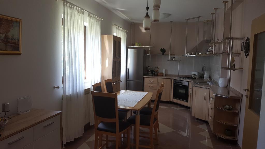 House Tudic Appartement Drežnik Grad Buitenkant foto