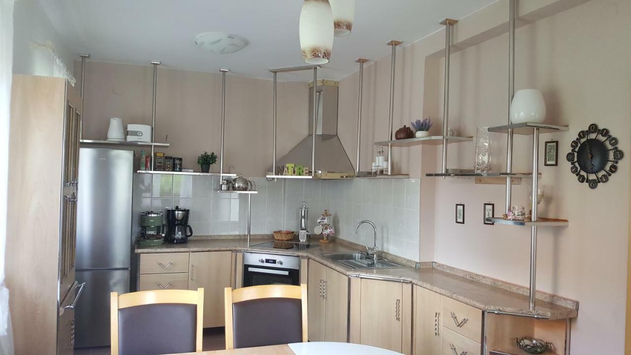 House Tudic Appartement Drežnik Grad Buitenkant foto