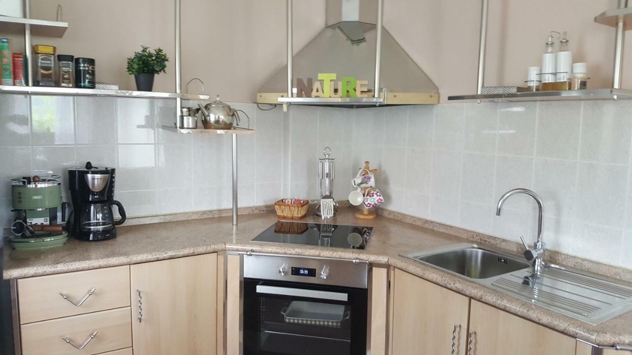 House Tudic Appartement Drežnik Grad Buitenkant foto