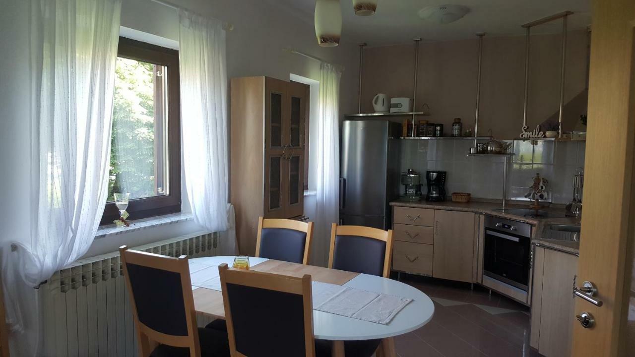 House Tudic Appartement Drežnik Grad Buitenkant foto