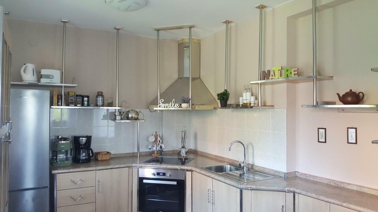 House Tudic Appartement Drežnik Grad Buitenkant foto