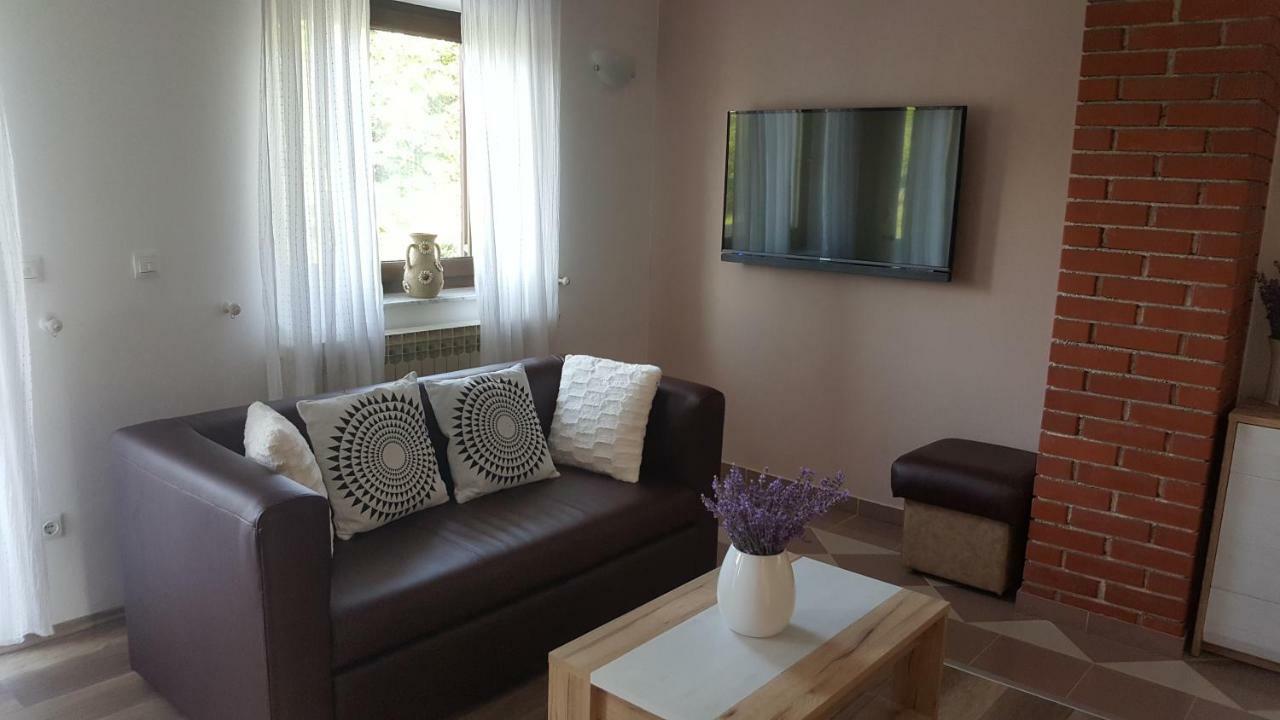 House Tudic Appartement Drežnik Grad Buitenkant foto